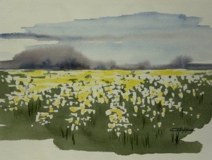 CAMPO DE CAPILOTES -Acuarela sobre papel - 28x43